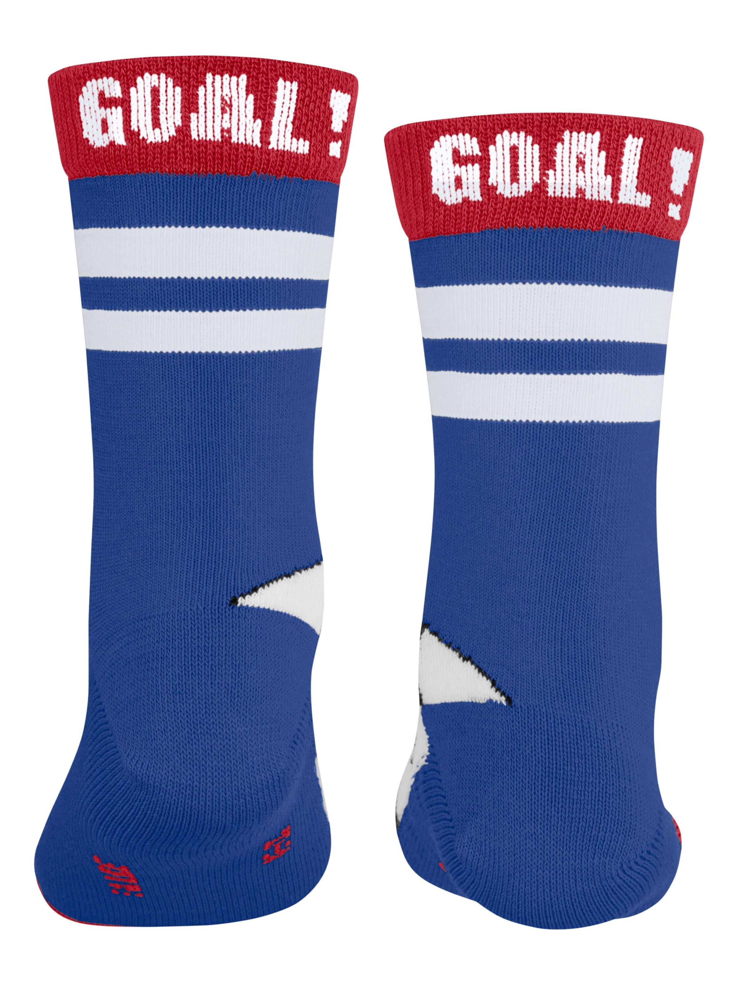 FALKE Socks 'Active Soccer' in Blue