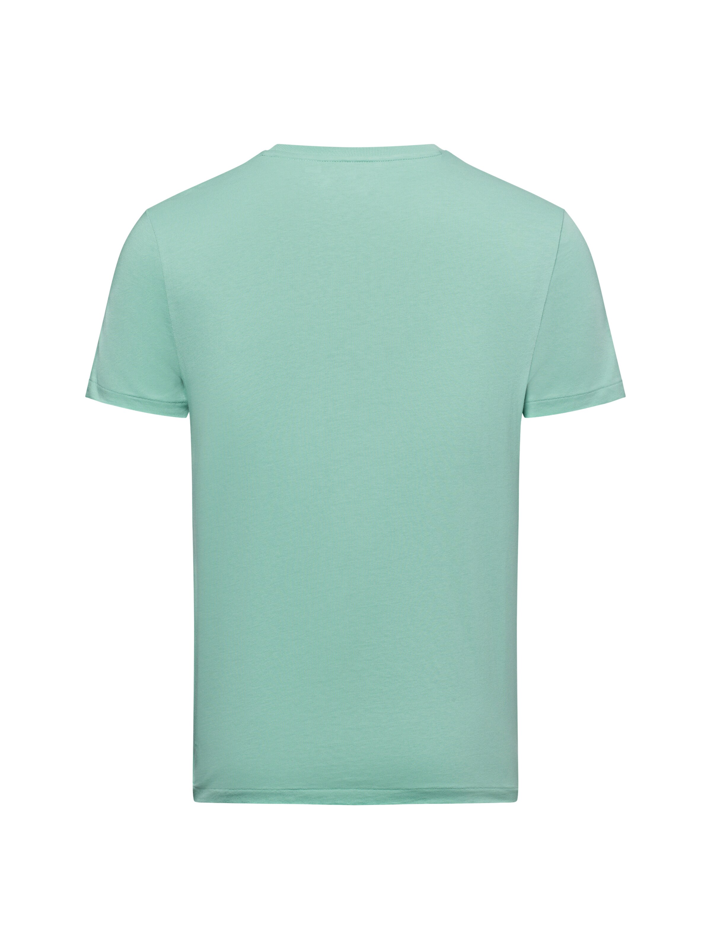 Polo Ralph Lauren Regular fit Shirt ' ' in Groen