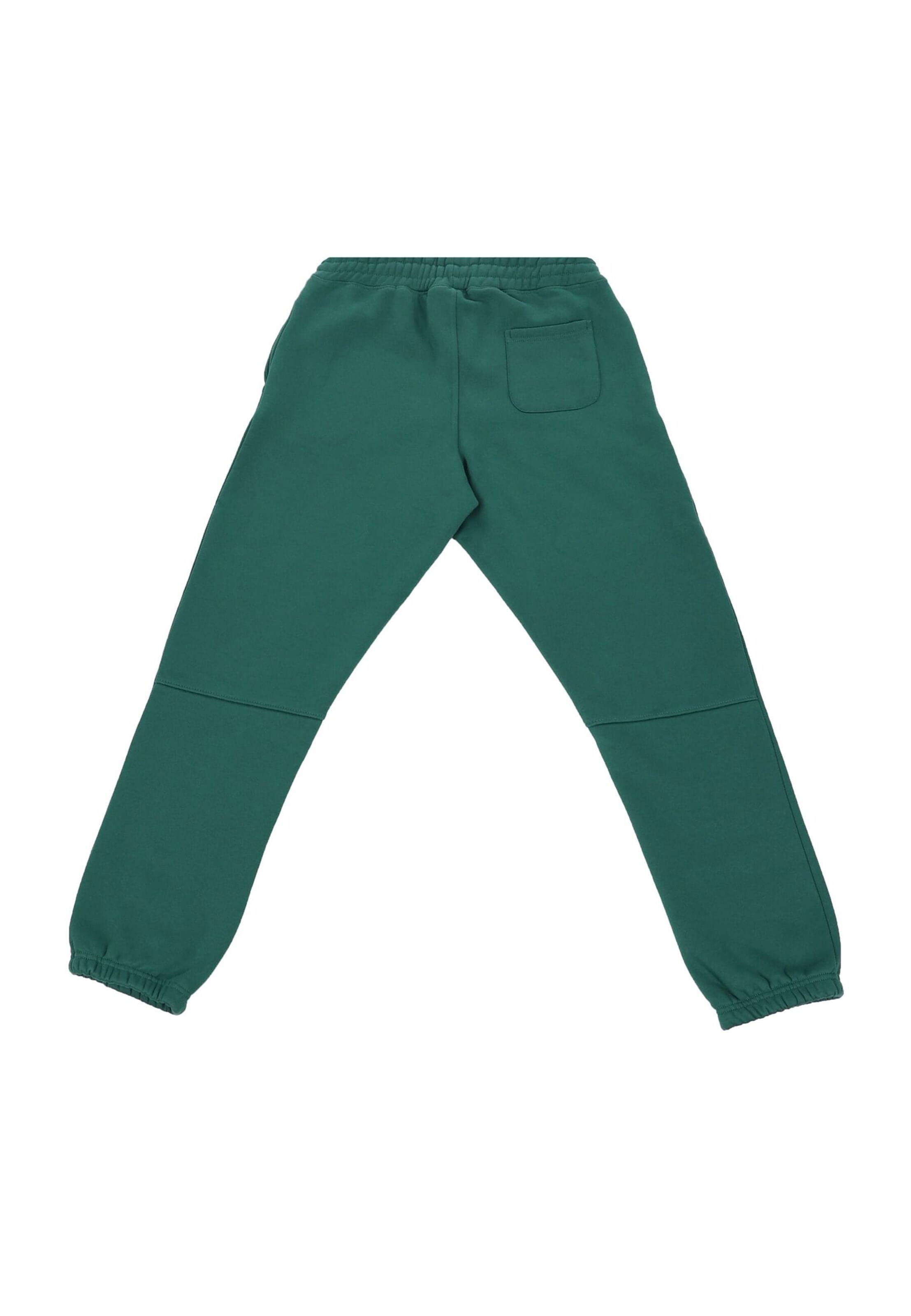 Dropsize Tapered Hose 'Embo V3' in Grün