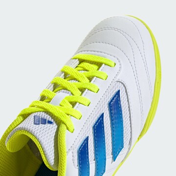 ADIDAS PERFORMANCE Athletic Shoes 'Super Sala II' in White