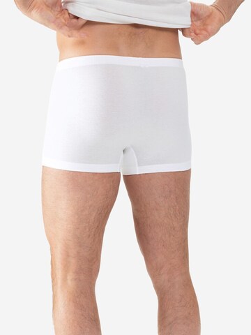 Mey Boxer shorts 'Casual Cotton' in Blue