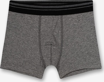 SANETTA Underpants in Grey: front