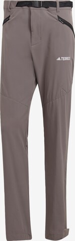 Pantalon de sport 'Xperior' ADIDAS TERREX en marron : devant