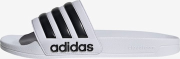 ADIDAS SPORTSWEAR Classic Flats in White: front