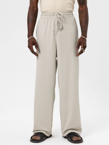 Loosefit Pantaloni 'Golden Alexander' di VAMOS CLO in grigio: frontale