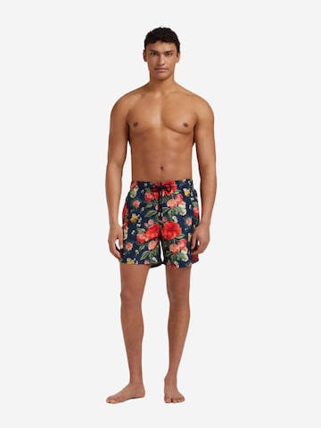 Vilebrequin Badeshorts‌‌‌‌‌‌‌‌‌‌ in Blau