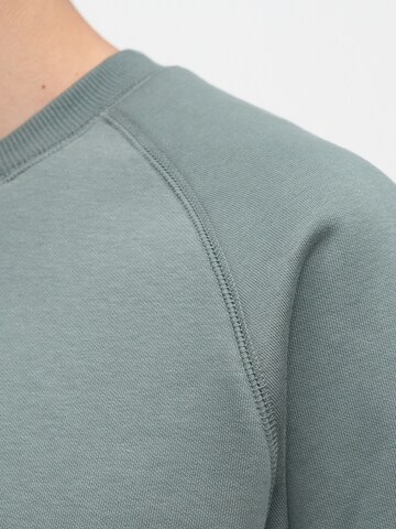 Carhartt WIP Sweatshirt 'Chase' in Groen