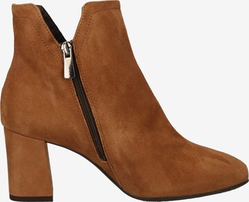 IGI&CO Ankle Boots in Brown