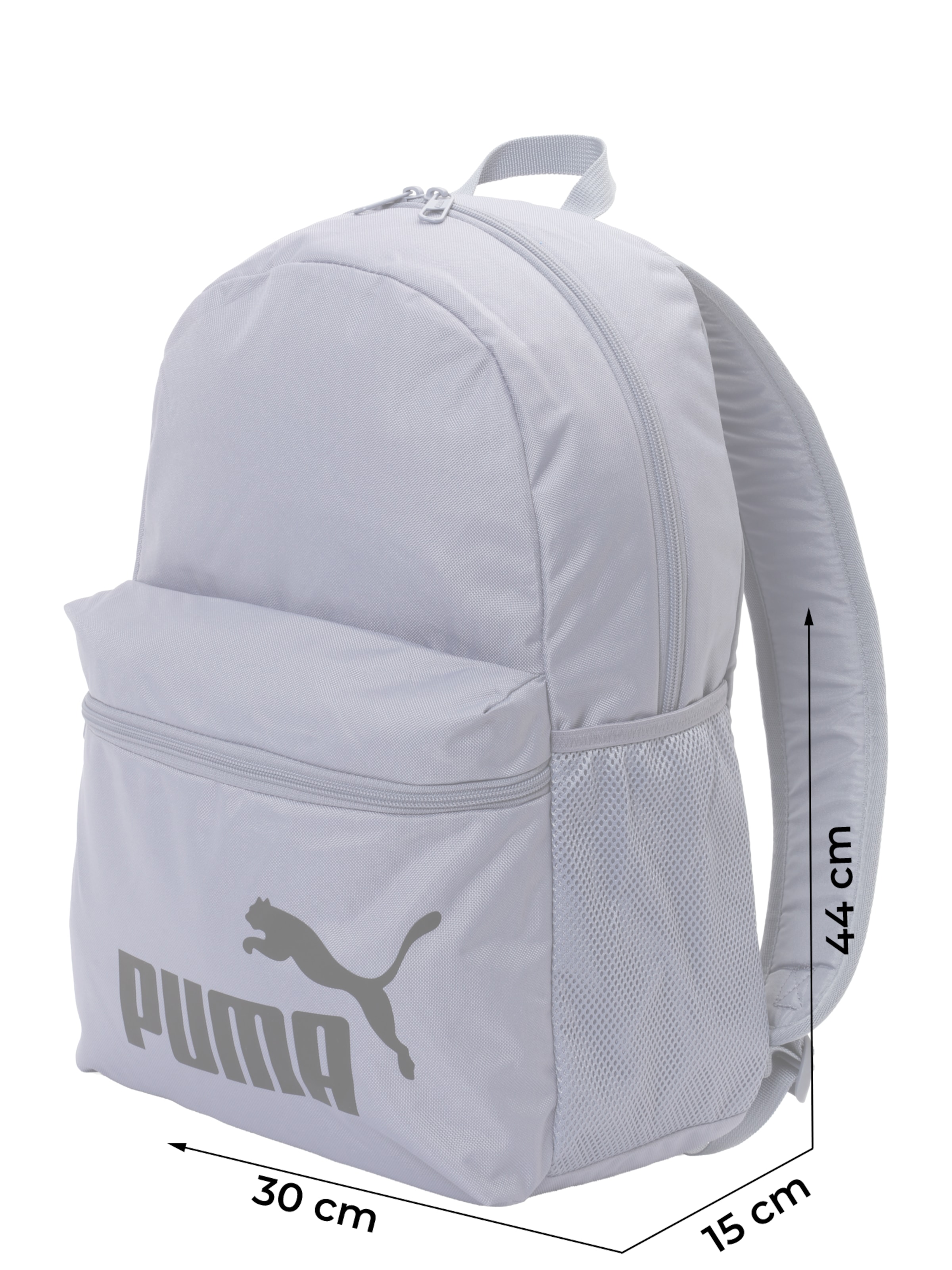 PUMA Rucksack 'PHASE' in Grau