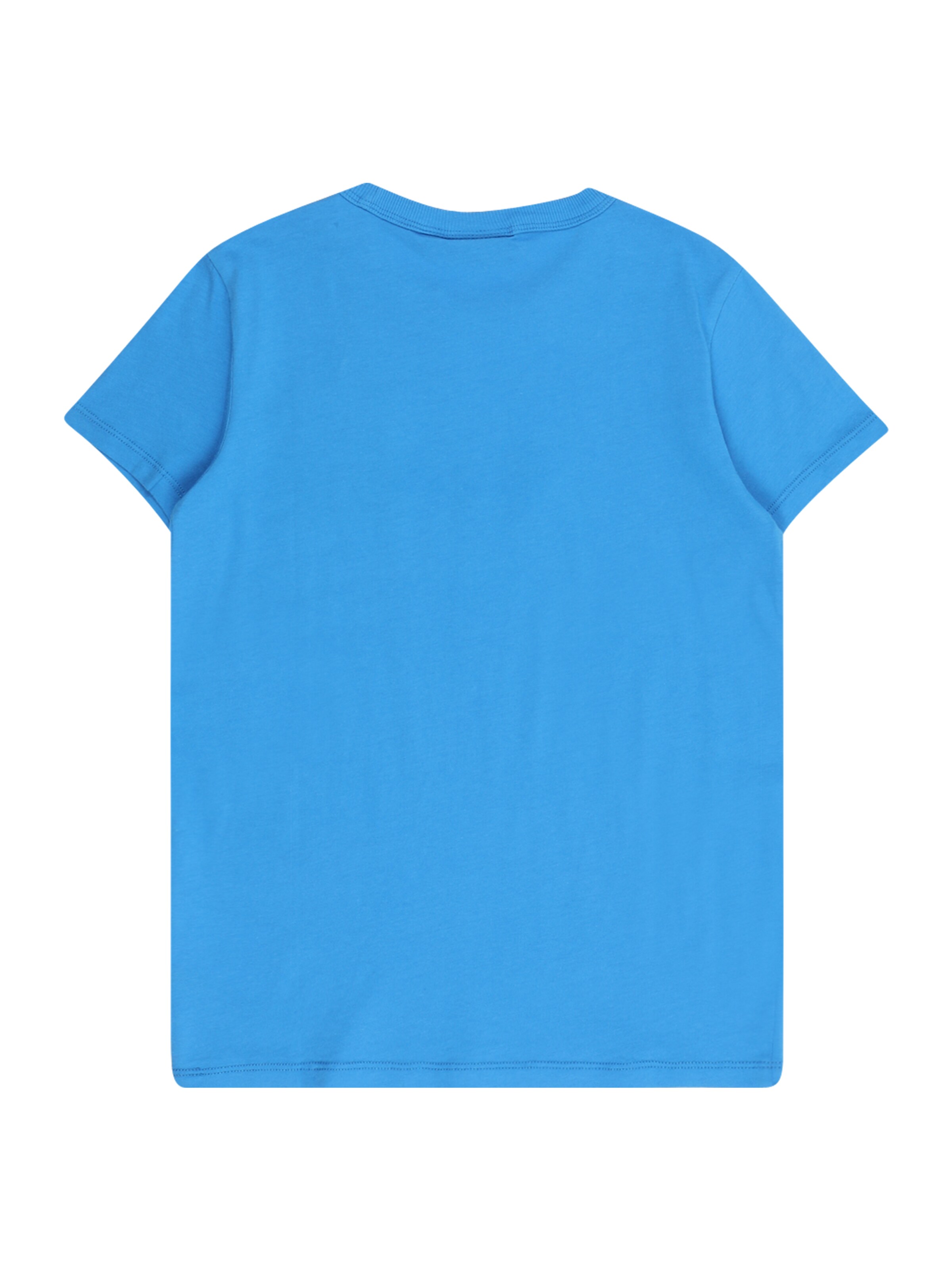 NAPAPIJRI Μπλουζάκι 'S-Chamois' σε μπλε