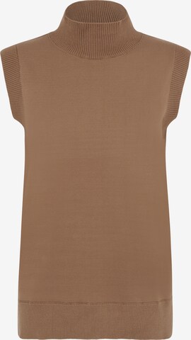 Aligne Sweater 'Evonne' in Brown: front