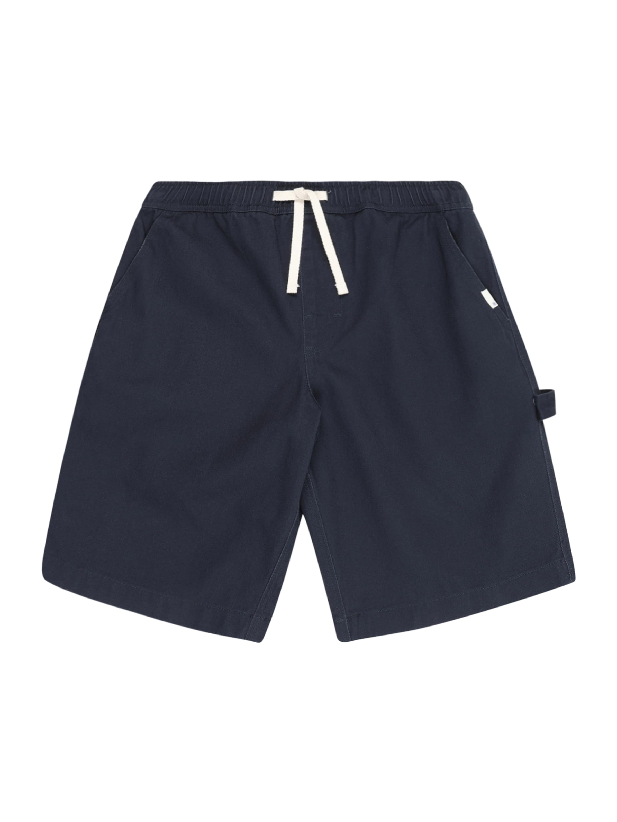 ELEMENT Обычный Спортивные штаны 'CARPENTER' в Синий: спереди