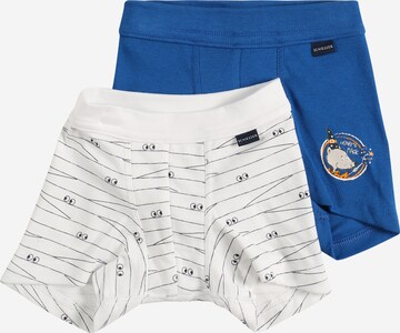 SCHIESSER Underpants in Blue: front