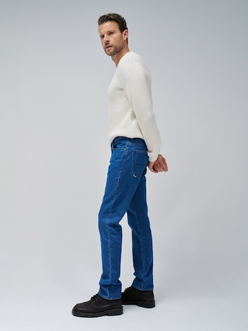 Salsa Jeans Regular Jeans in Blauw