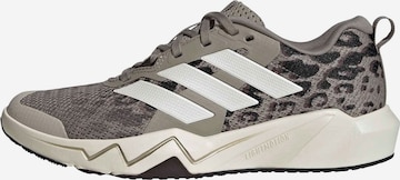 Scarpa sportiva 'RAPIDMOVE GO' di ADIDAS PERFORMANCE in marrone: frontale