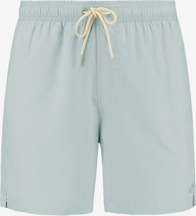 Shiwi Peldšorti 'Mike', krāsa - piparmētru, Preces skats