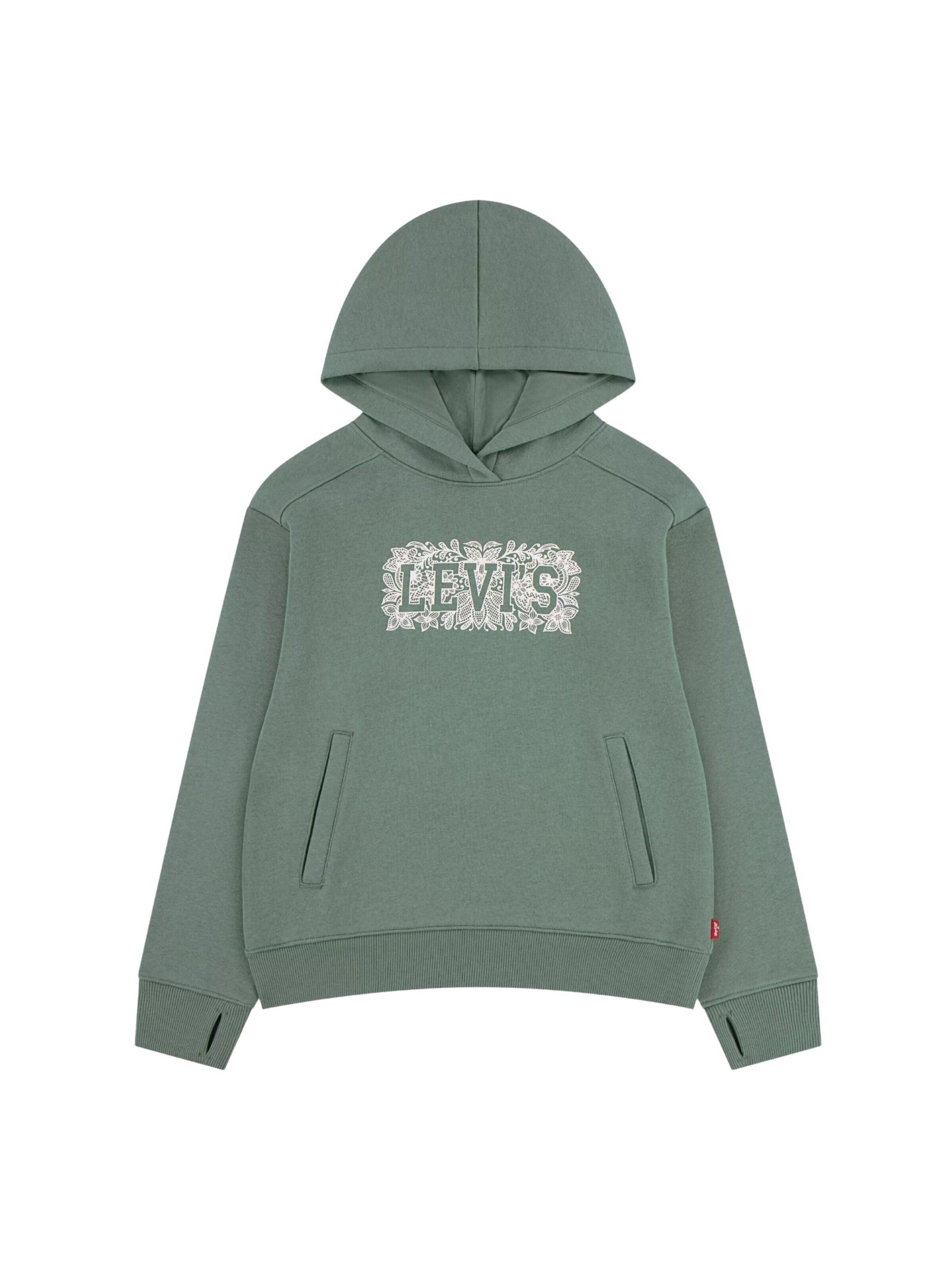 Levi's Kids Sweatshirt 'LEVI'S kids LVG MEET AND GREET SEASONAL HOODIE FELPA'‌‌‌ in Grün: Vorderseite