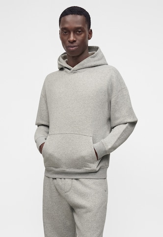 Felpa di HOLLISTER in grigio