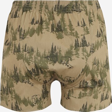 D.E.A.L International Boxershorts 'Wald' i grön