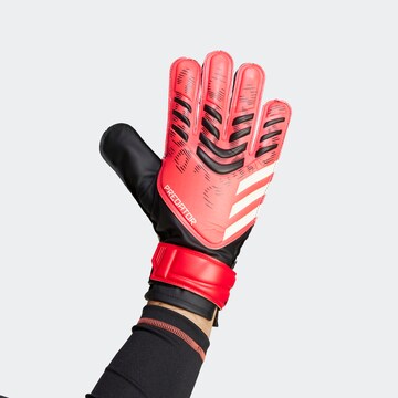 ADIDAS PERFORMANCE Sporthandschoenen 'Predator' in Zwart