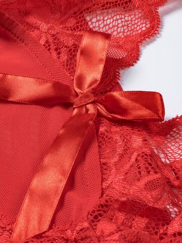 ORGANZA Lingerie Negligee 'Spitzennegligé' in Red