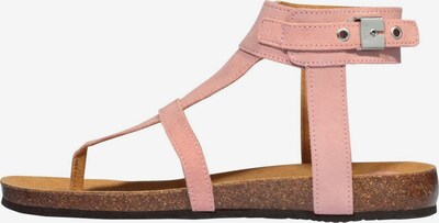 SCHOLL Sandalen 'BERRY 2.0' in rosa, Produktansicht