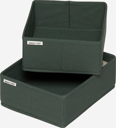 ABOUT YOU Box/basket 'Jungle' in Dark green, Item view