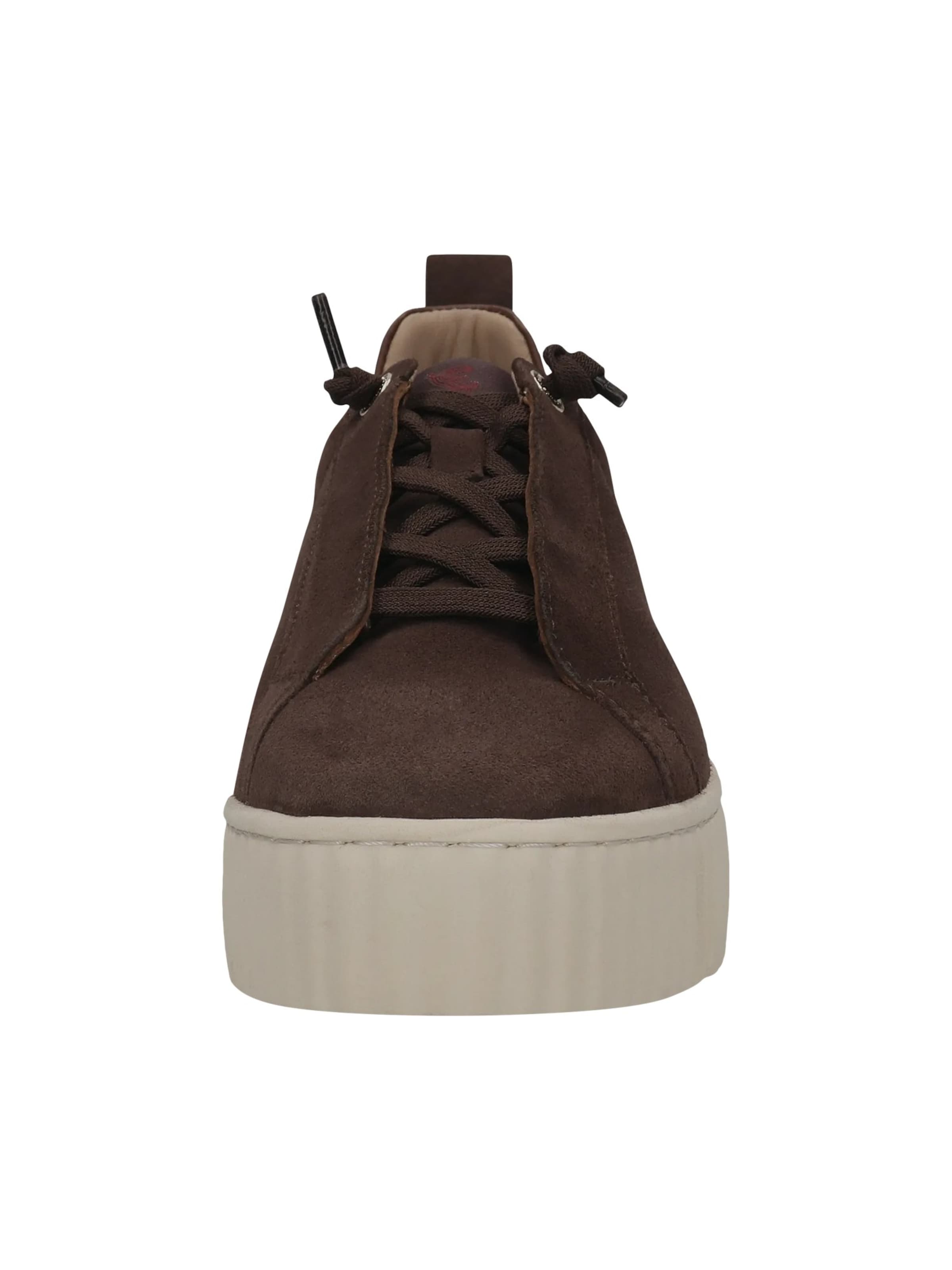 SALAMANDER Sneakers in Brown