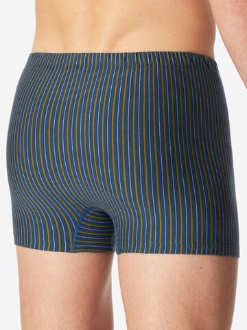 SCHIESSER Boxershorts '95/5 Essentials - Organic Cotton' in Blauw