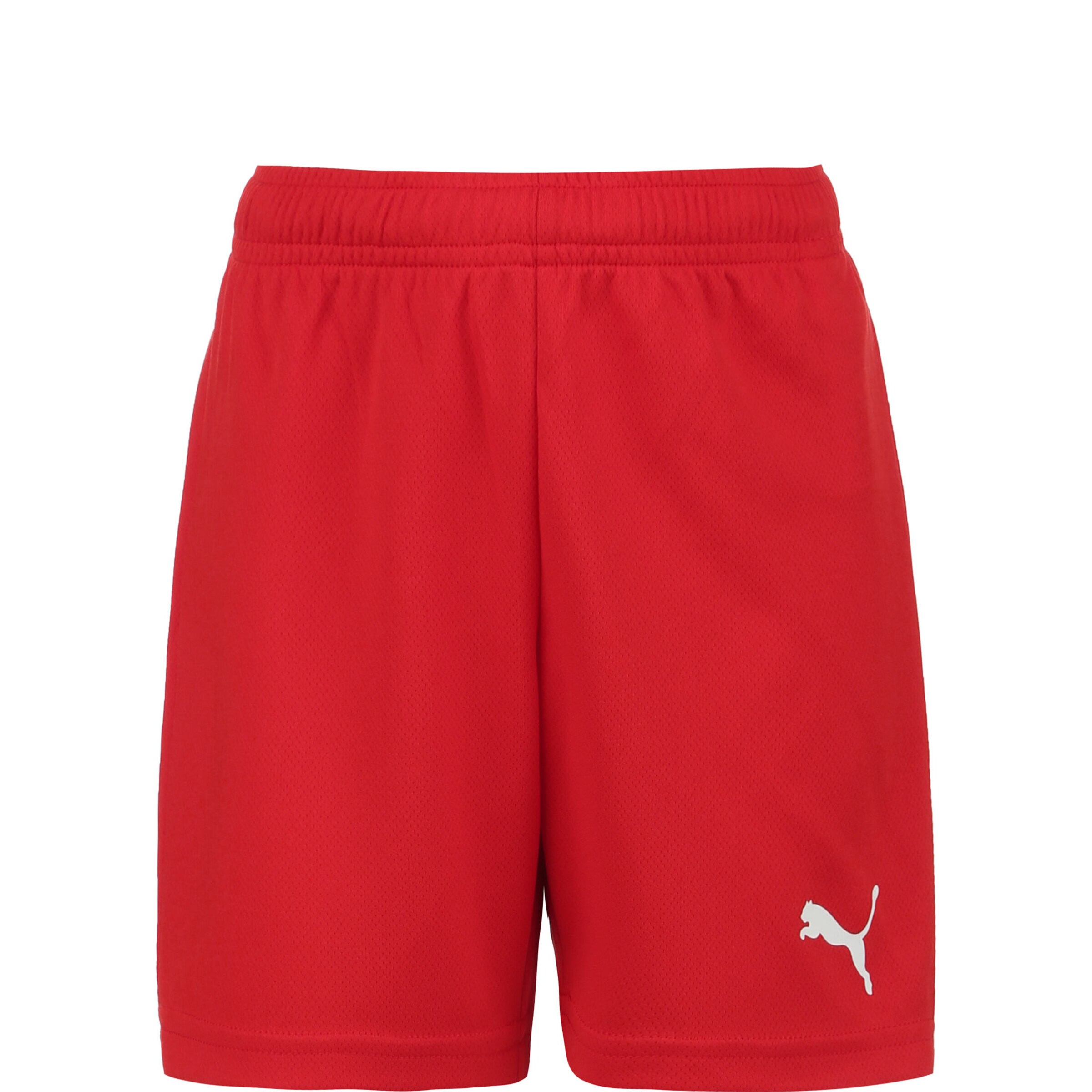 Pantalon de sport 'TeamRise' PUMA en rouge : devant