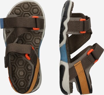 TIMBERLAND Sandaalid 'Adventure Seeker', värv pruun