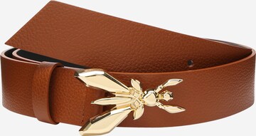 Ceinture PATRIZIA PEPE en marron : devant