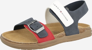 TOMMY HILFIGER Avonaiset kengät värissä monivärinen: etupuoli