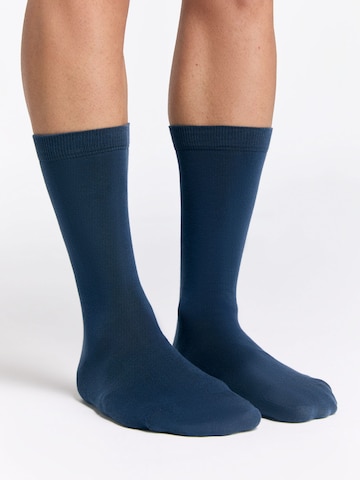 Albero Natur Socks 'Classic' in Blue