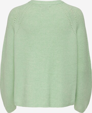 Pull-over 'FIA' ONLY en vert