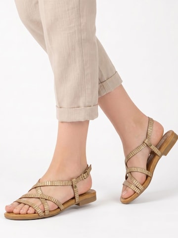 Maciejka Sandals in Gold