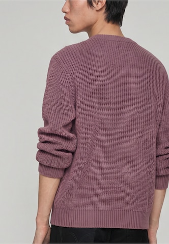 EDWIN Sweater 'Nix' in Pink