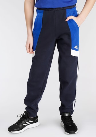 ADIDAS SPORTSWEAR Tapered Sports trousers in Black: front