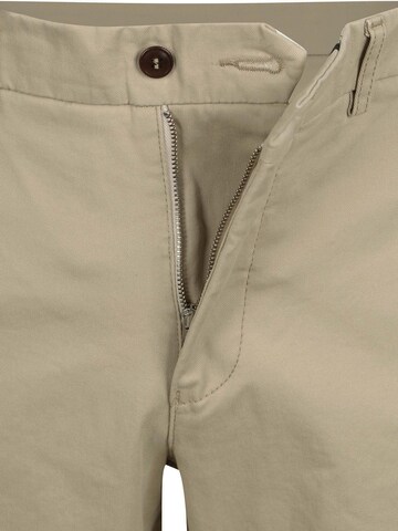 Steppin' out Regular Chino in Groen