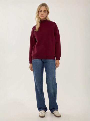 Hiccup Sweatshirt in Rot
