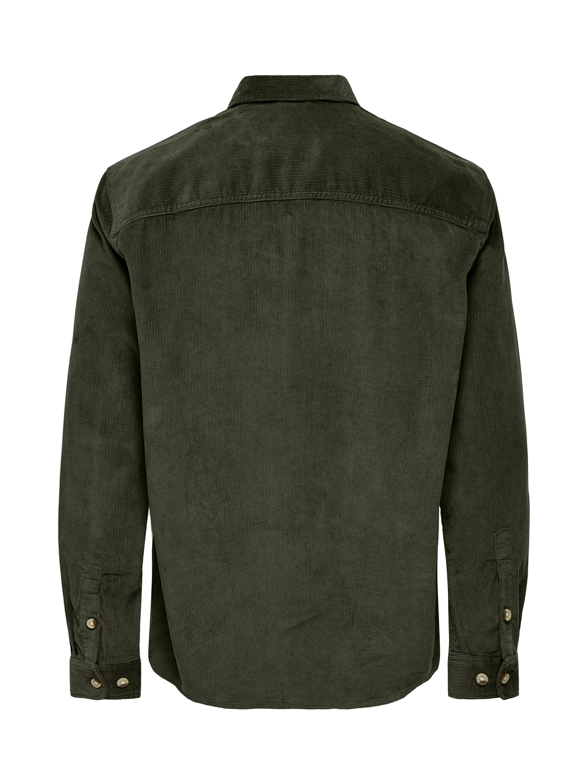 Only & Sons Comfort fit Button Up Shirt 'ONSALP' in Green
