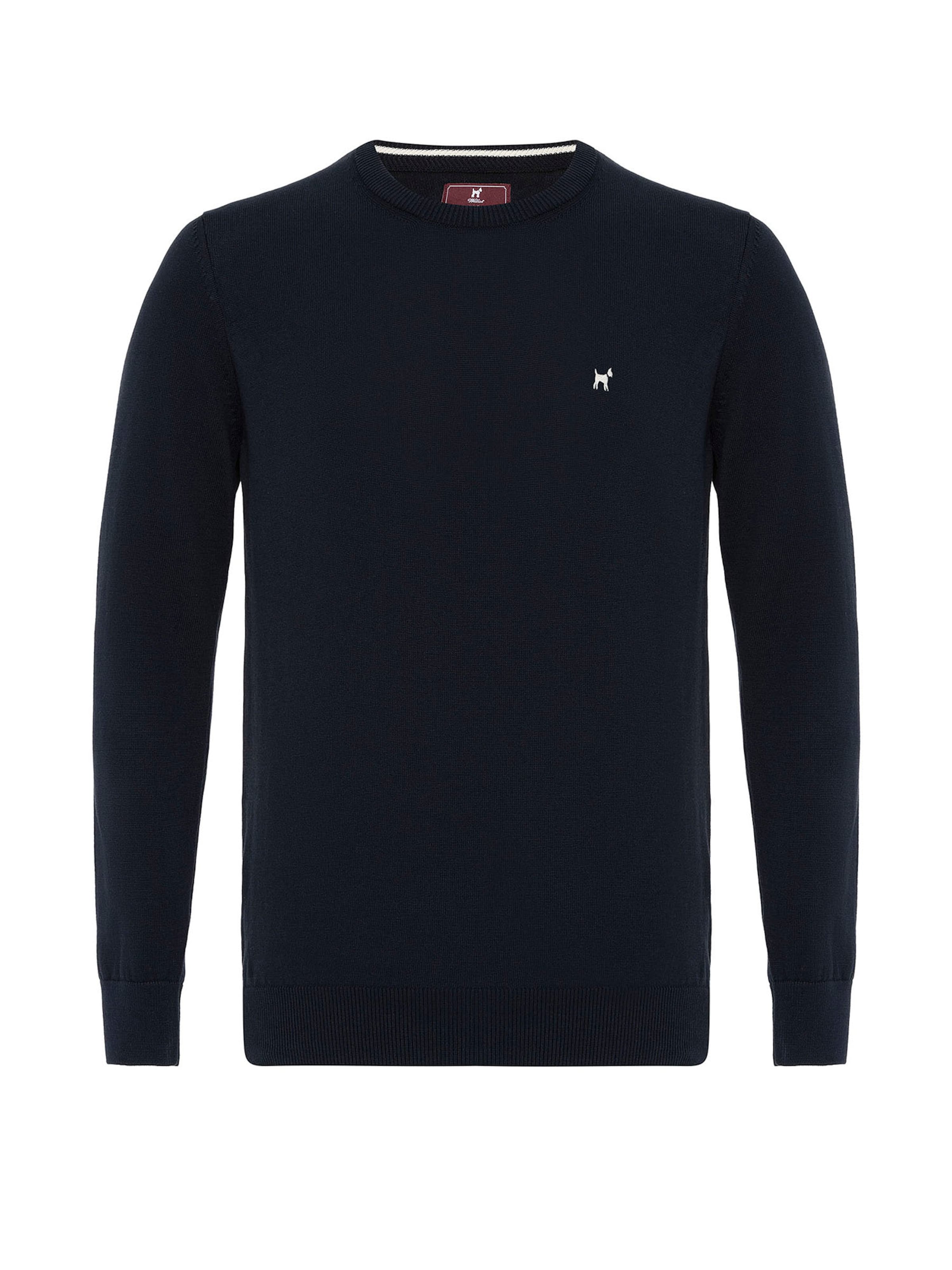 Williot Sweater in Blue: front