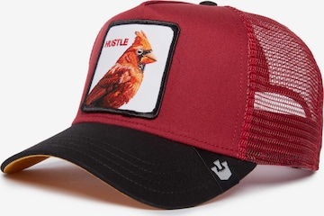 GOORIN Bros. - Gorra en rojo: frente