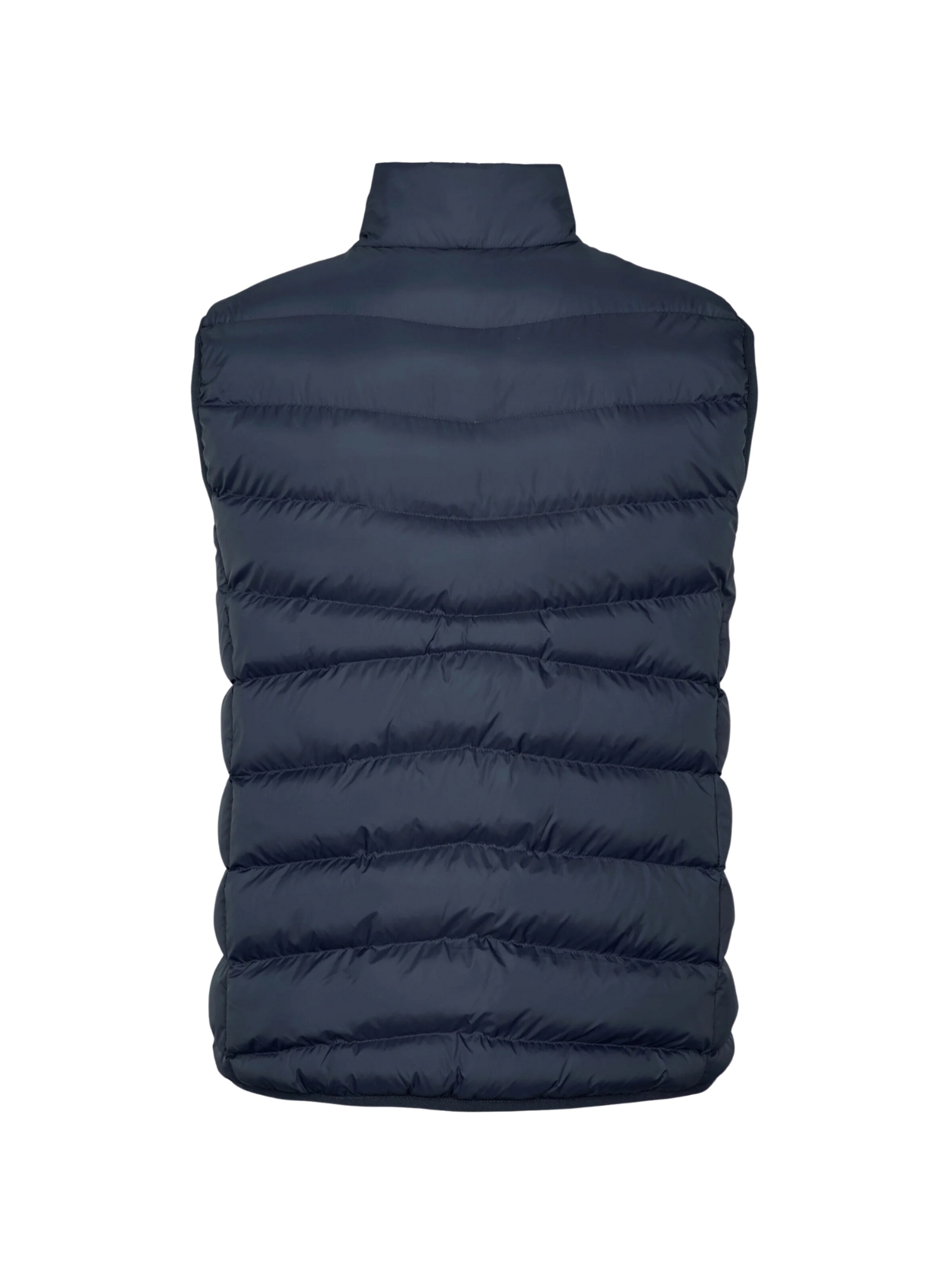 U.S. POLO ASSN. Vesta ' Eugene ' – modrá