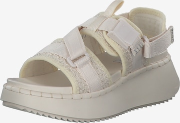 STEVE MADDEN Sandal in Beige: front