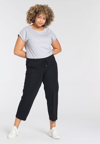 KjBRAND Regular Pants in Black