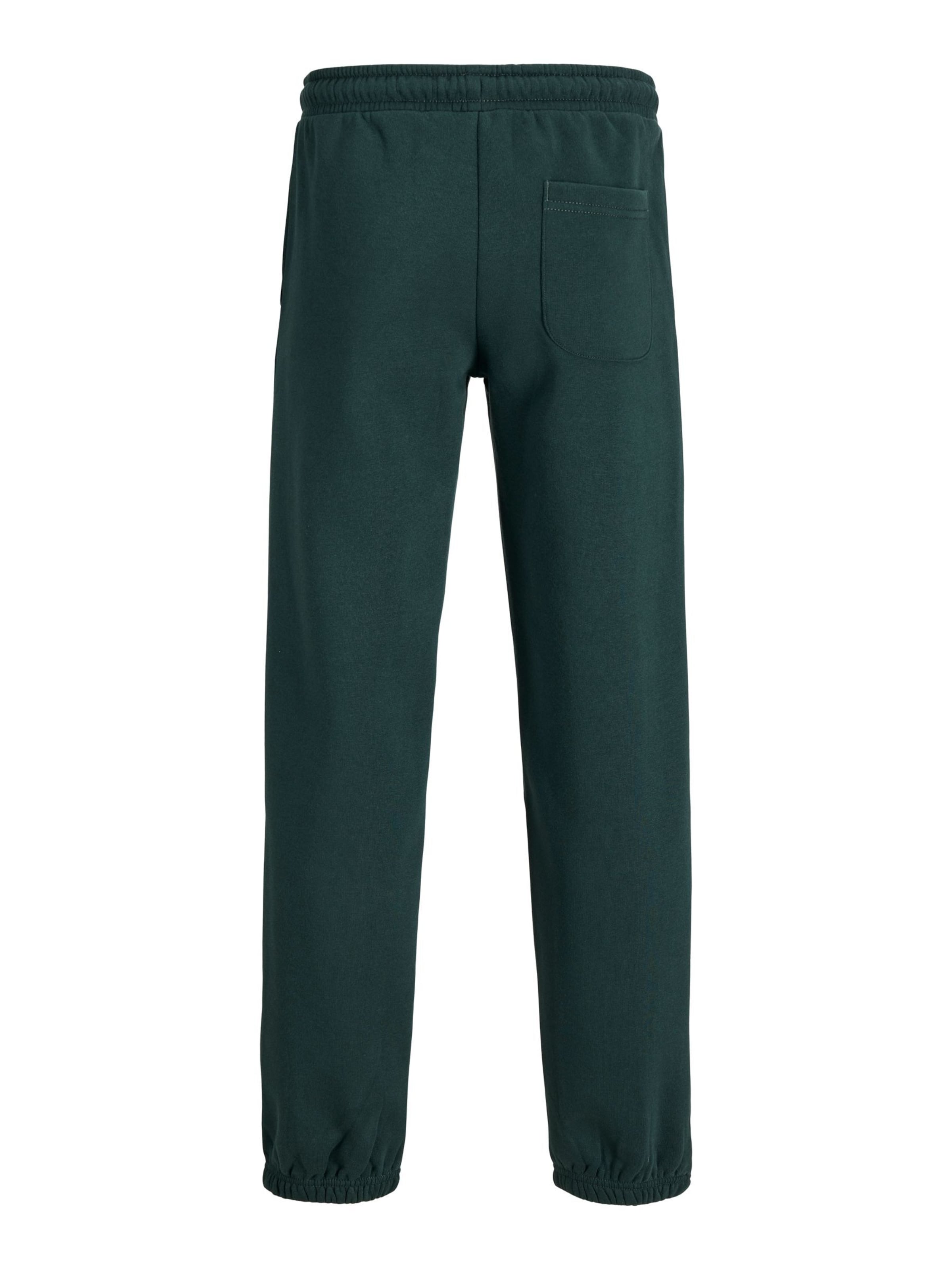 Jack & Jones Junior Tapered Hose 'JPSTKane' in Grün
