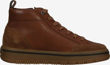 Paul Green Sneakers in Brown