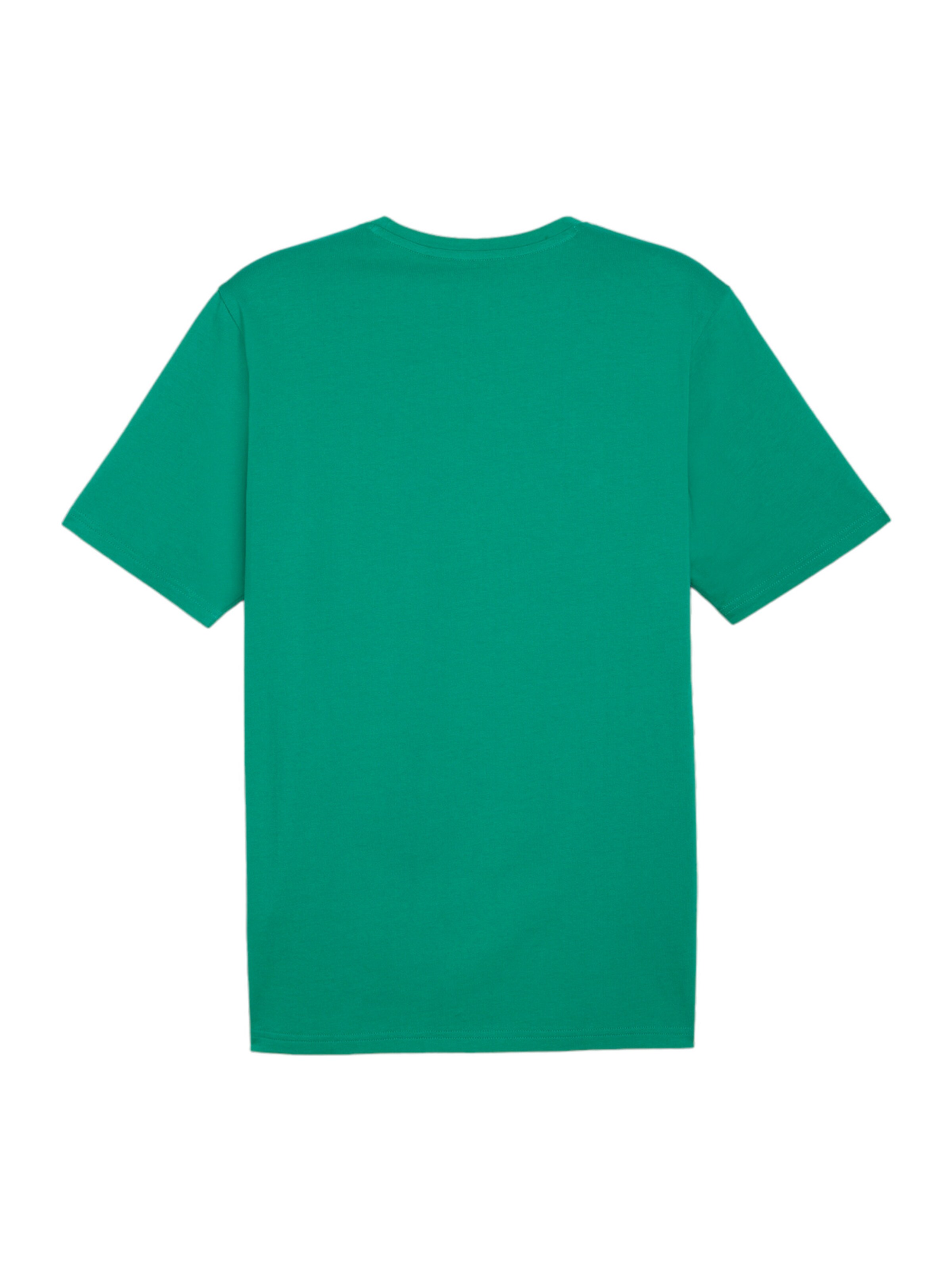 PUMA Performance Shirt 'TeamRise' in Green