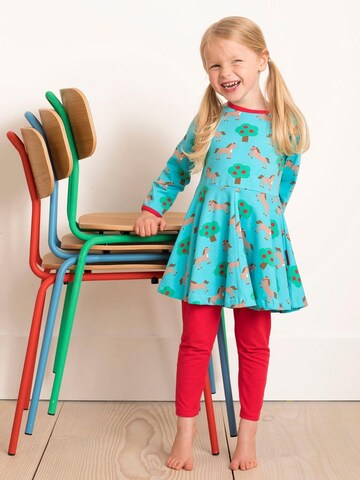 Toby Tiger Dress in Blue